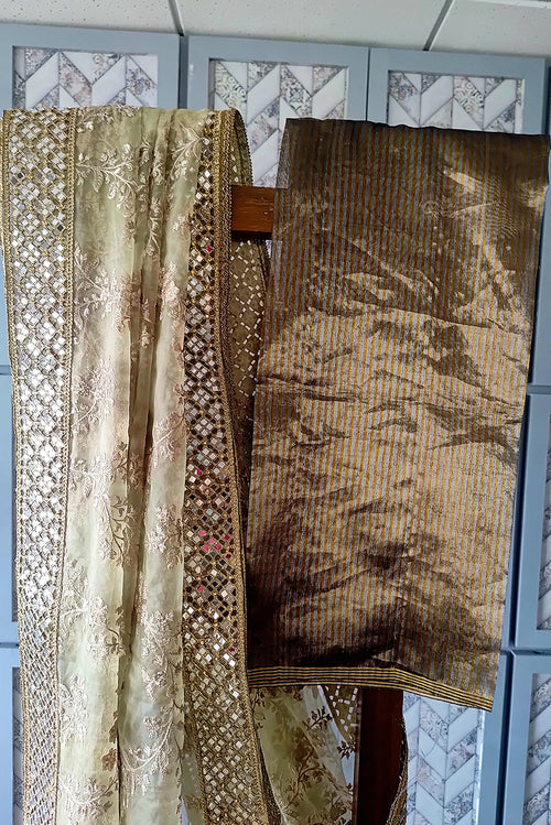 Organza embroidered sari