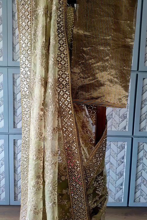 Organza embroidered sari