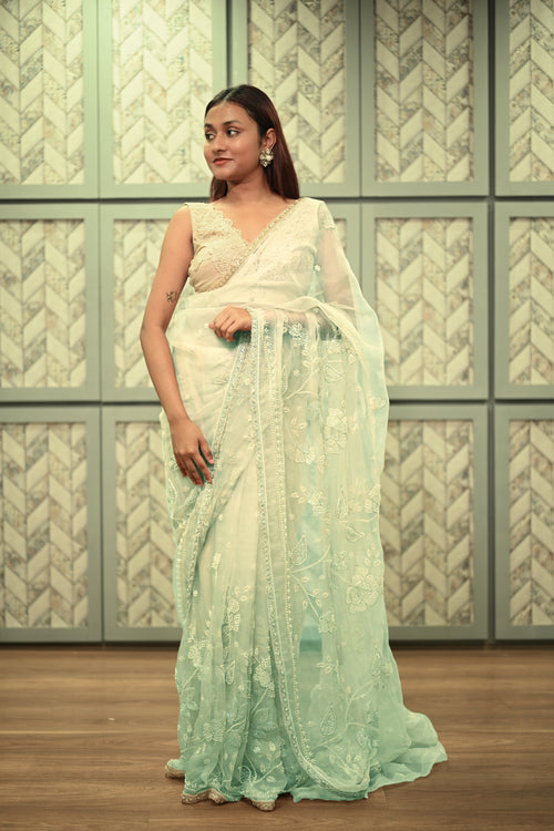 Aqua Alia organza sari