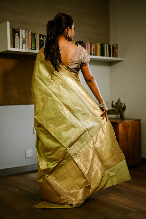 Olive green banarasi silk sari