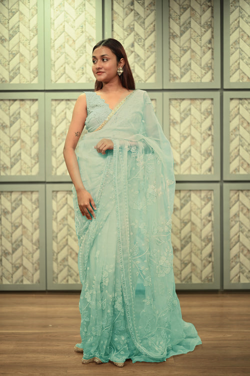 Aqua Alia organza sari