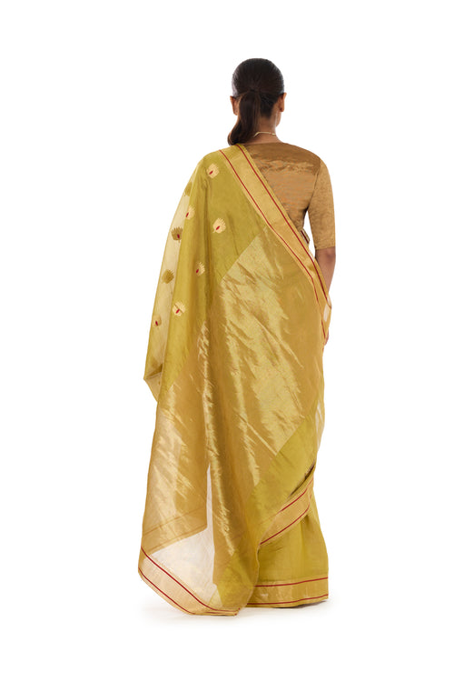 Green Munga Silk Saree with Golden Handloom Embroidered Border