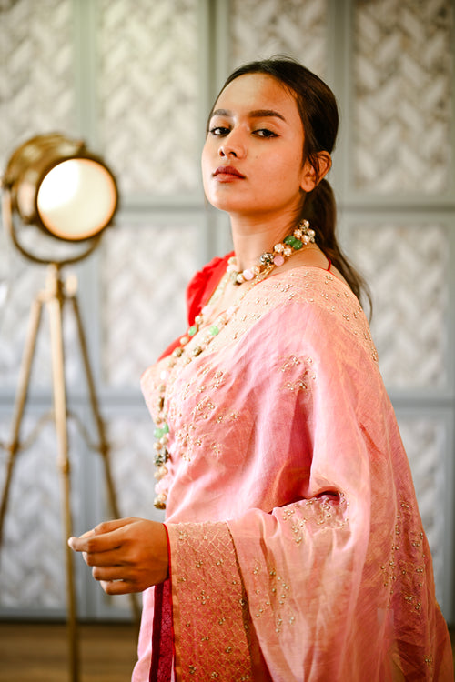 Tissue silk saris with hand embroidery