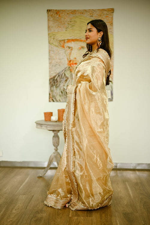 Beige gold silk tissue sari with heavy border