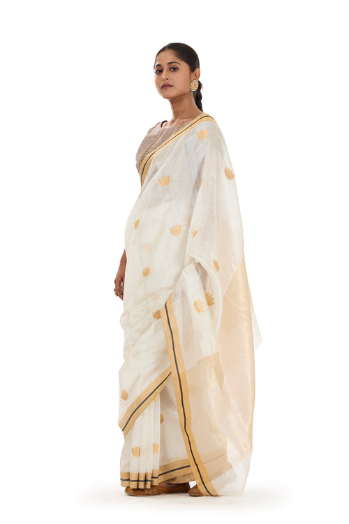 Offwhite silk sari