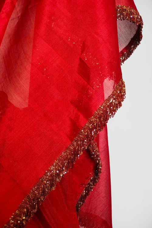 Sari Ki Almari- Red tissue silk sari with golden phuljhari2