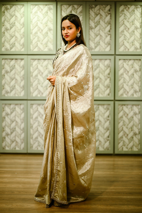 sophisticated Beige Tissue Back silver Blouse