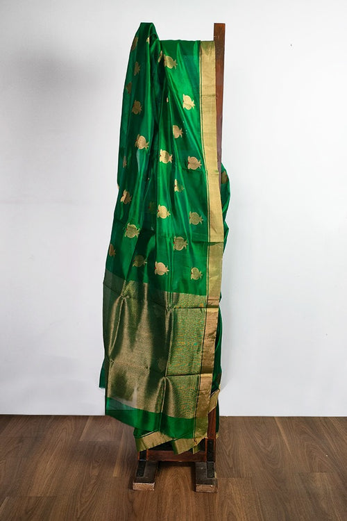 Annara - Green pink silk saree