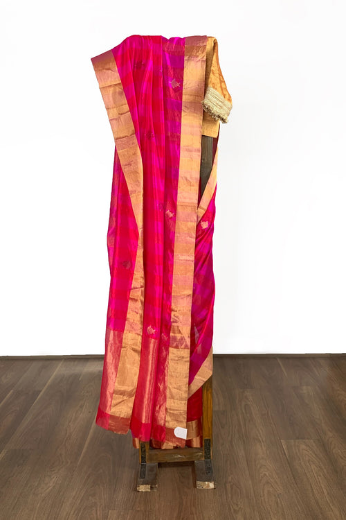 Fuschia and red gentle stripes saree